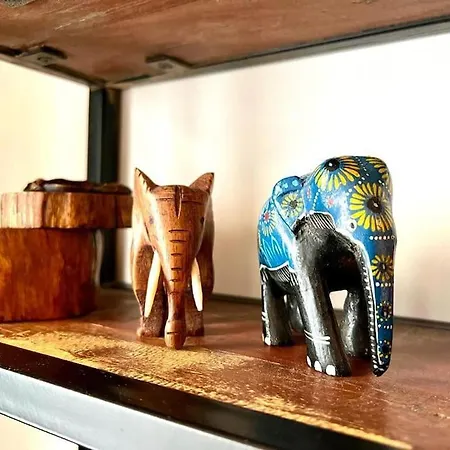 L'ethnique - Hypercentre - Gare * Angers